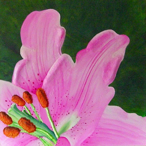 A close up painting of a bright pink lily